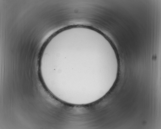 X0000115220983200911251527