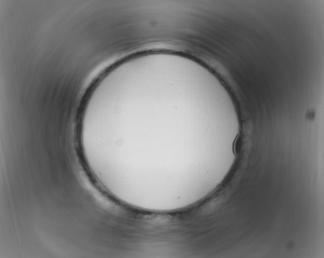 X0000115220991200911251527