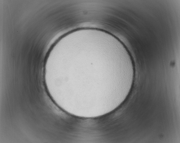 X0000115220992200911251527