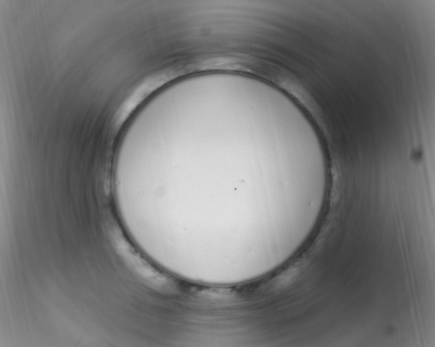 X0000115220994200911251527