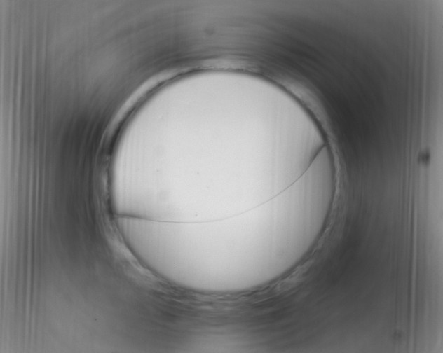 X0000115221000200911251527