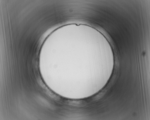 X0000115221004200911251527