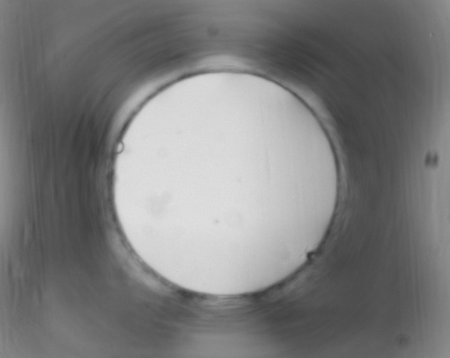 X0000115221008200911251527