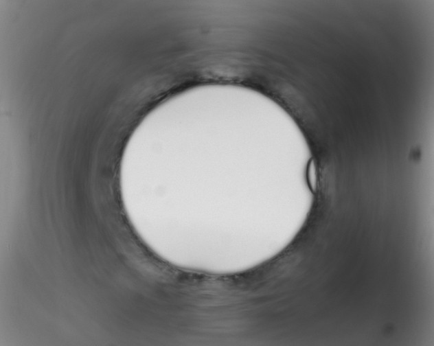 X0000115221009200911251526