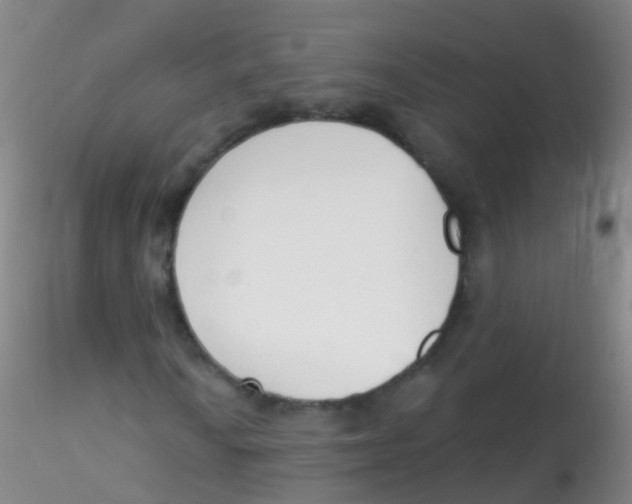 X0000115221010200911251526