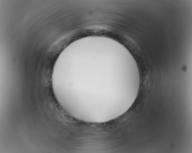 X0000115221014200911251526