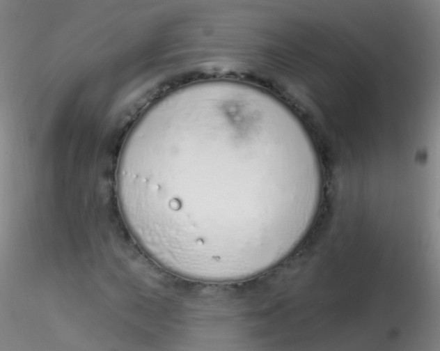 X0000115221015200911251526