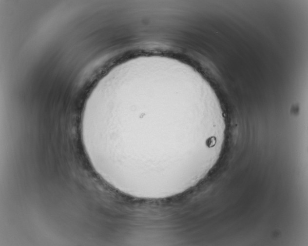 X0000115221016200911251526