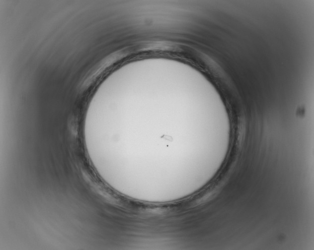 X0000115221017200911251526
