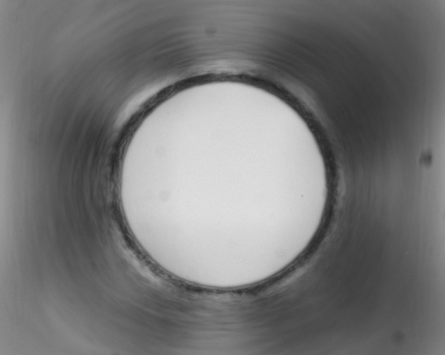 X0000115221018200911251526