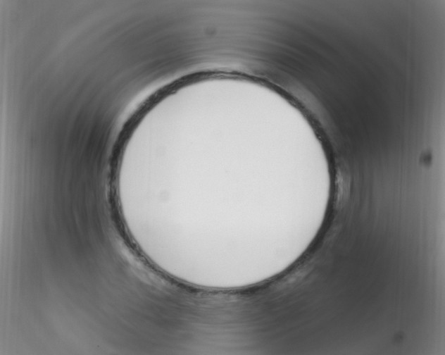 X0000115221020200911251526