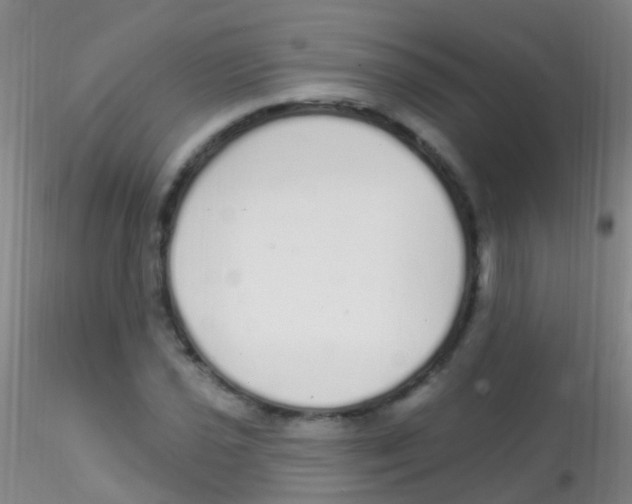 X0000115221021200911251526