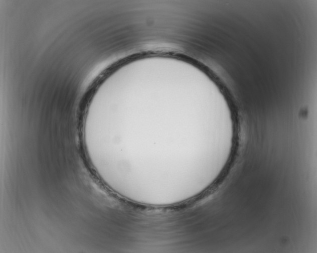 X0000115221022200911251526