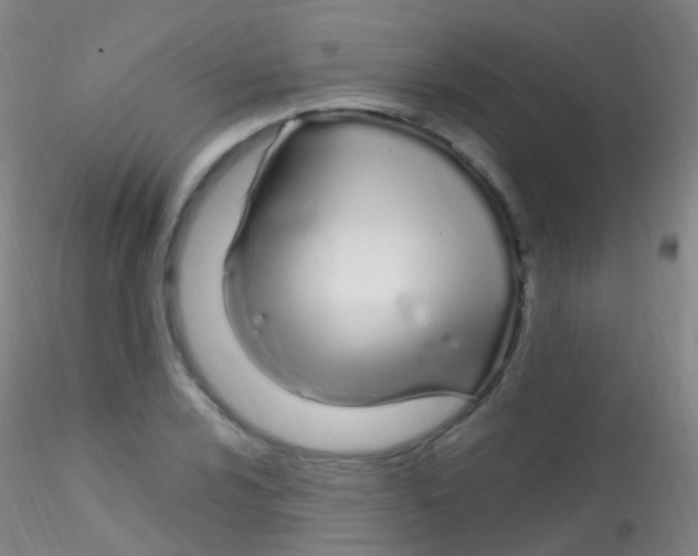 X0000115221024200911251526