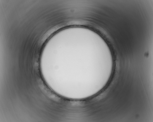 X0000115221025200911251526