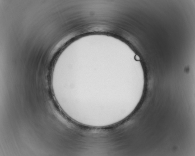 X0000115221026200911251526