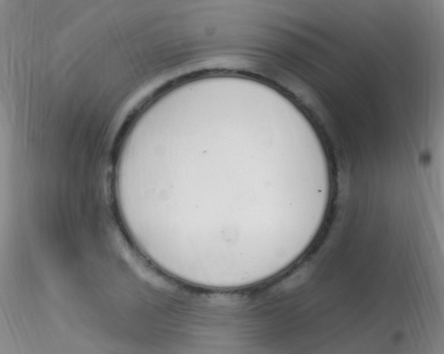 X0000115221029200911251526