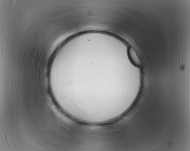 X0000115221030200911251526