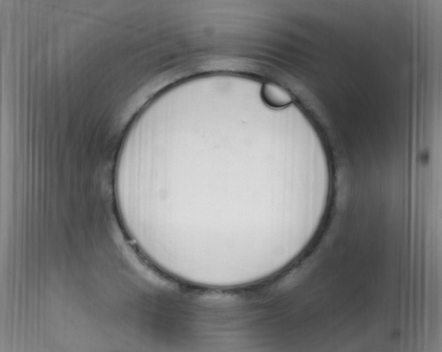 X0000115221033200911251526
