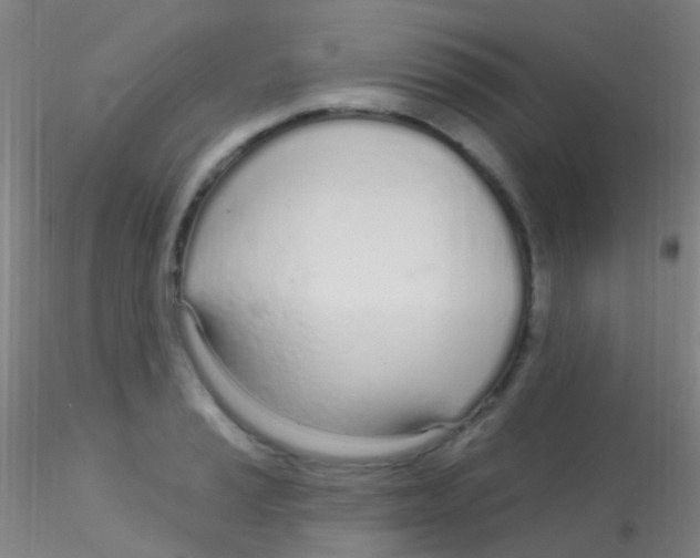 X0000115221037200911251526