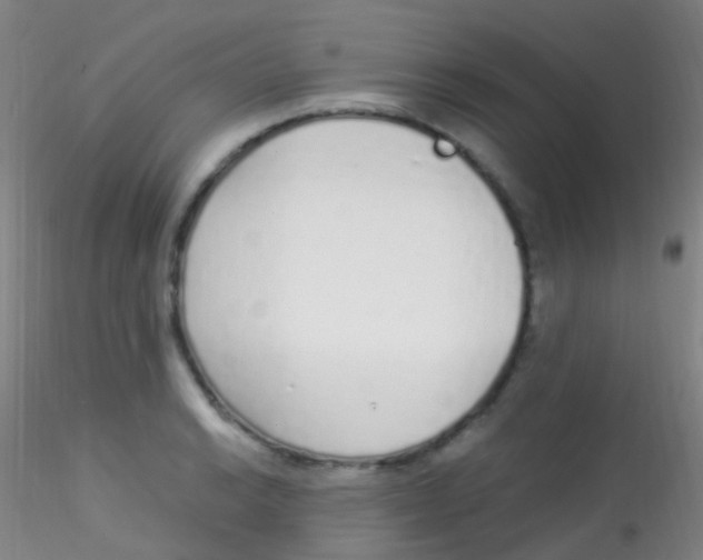 X0000115221038200911251526