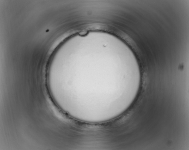 X0000115221039200911251526