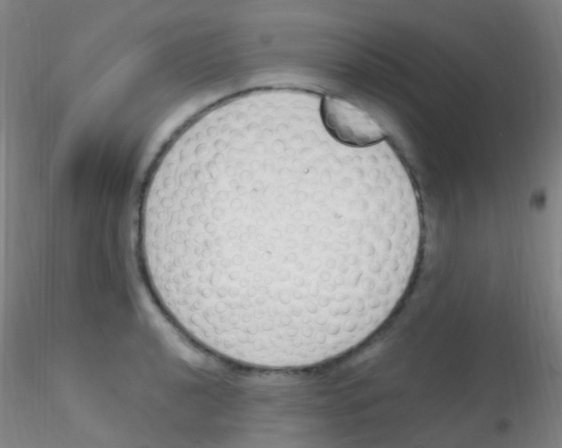 X0000115221040200911251526
