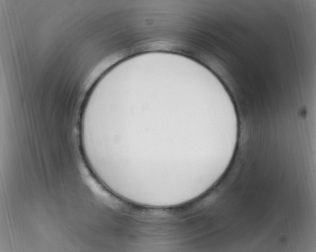 X0000115221042200911251527