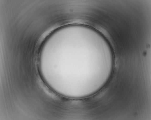 X0000115221043200911251527