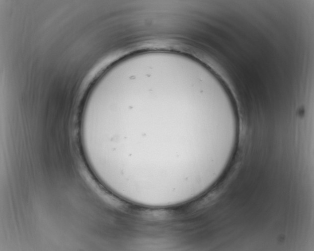 X0000115221045200911251527