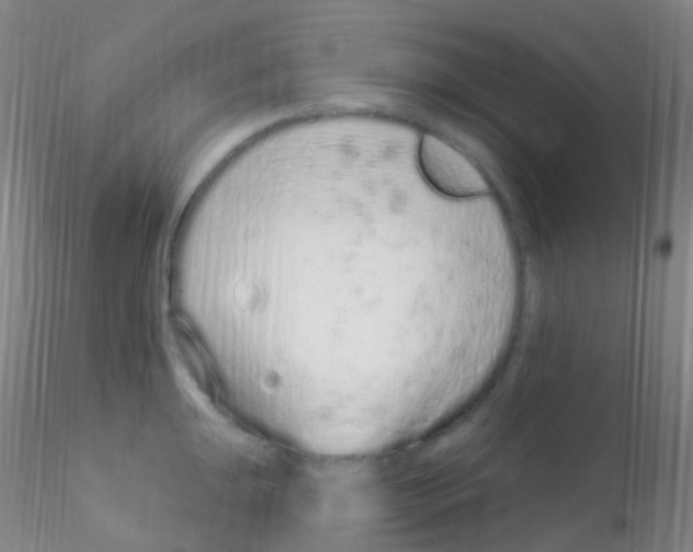 X0000115221047200911251527