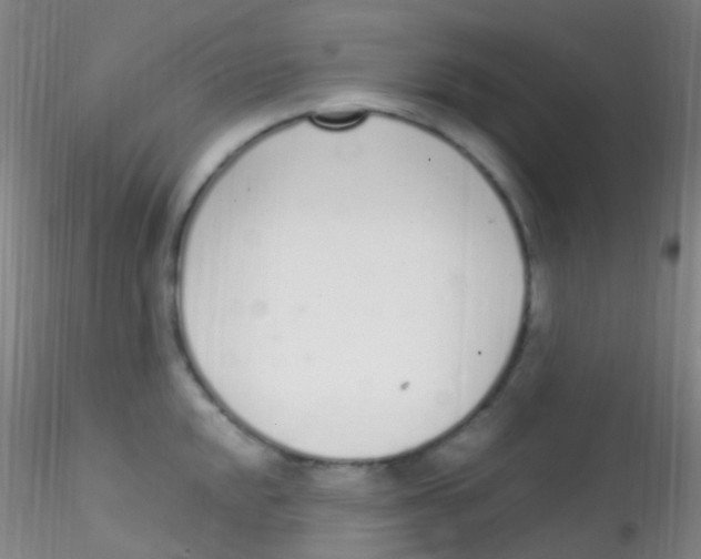 X0000115221048200911251527