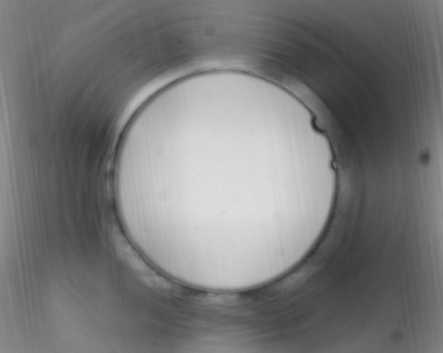 X0000115221052200911251527