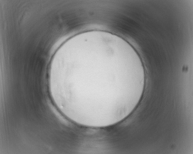 X0000115221056200911251527
