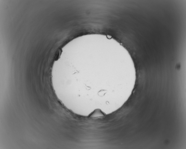 X0000115221057200911251526