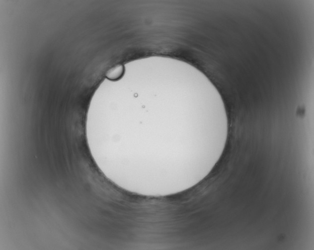 X0000115221058200911251526