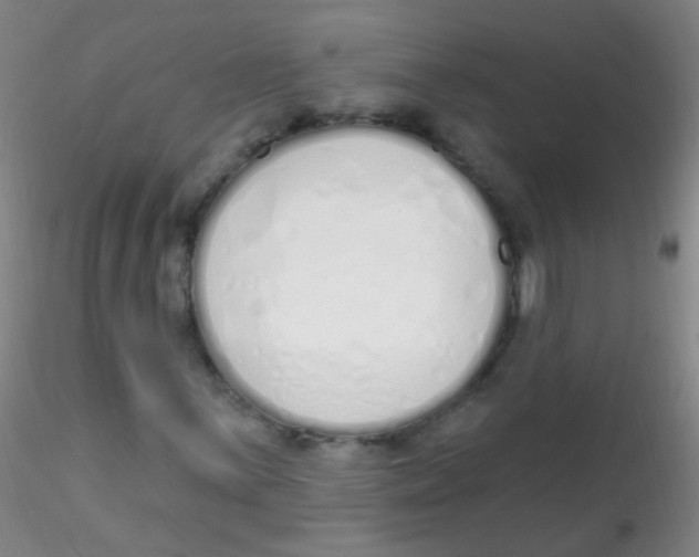 X0000115221059200911251526