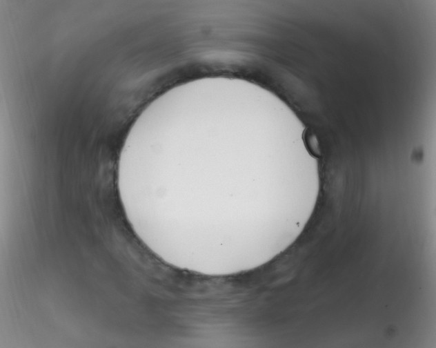 X0000115221061200911251526