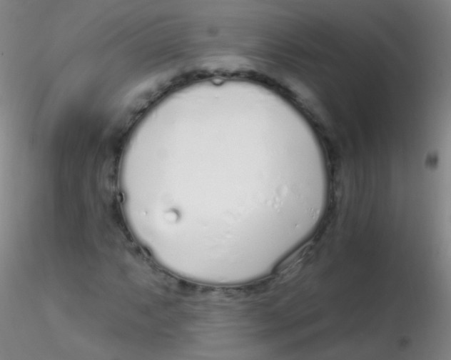 X0000115221063200911251526