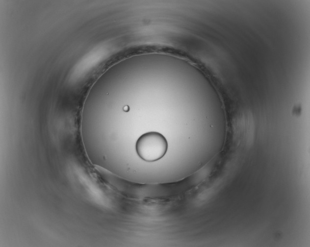 X0000115221064200911251526