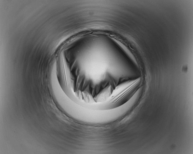 X0000115221065200911251526