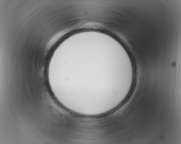 X0000115221066200911251526