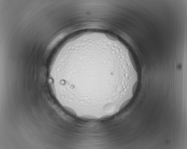 X0000115221067200911251526