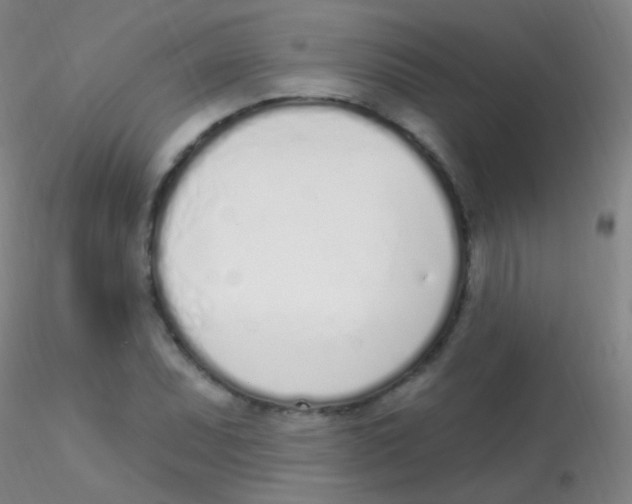 X0000115221071200911251526