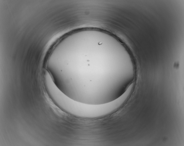 X0000115221072200911251526