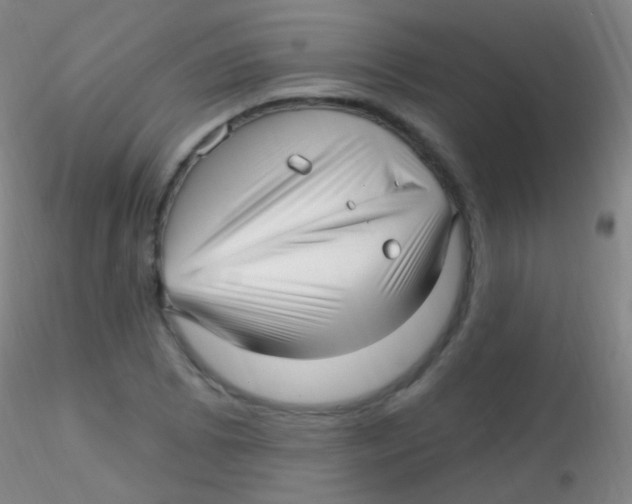 X0000115221073200911251526