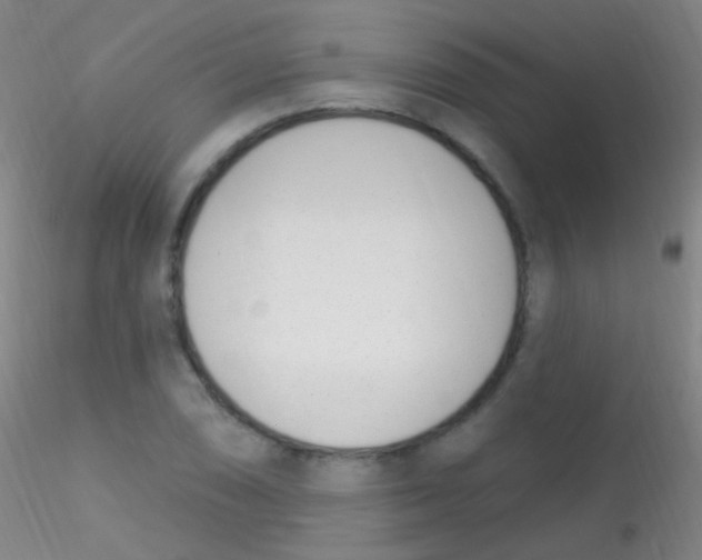 X0000115221074200911251526