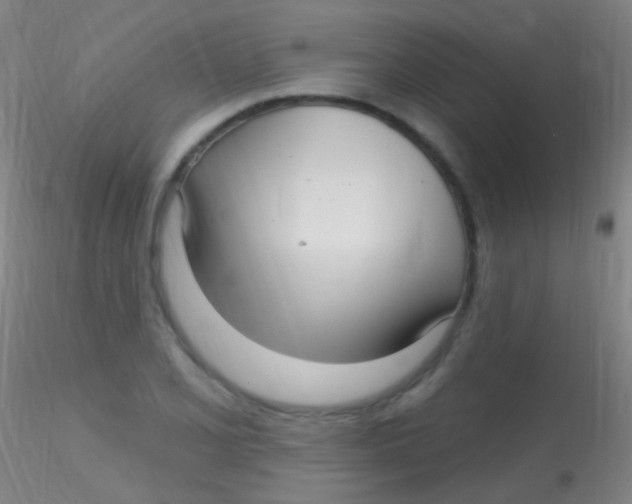 X0000115221077200911251526