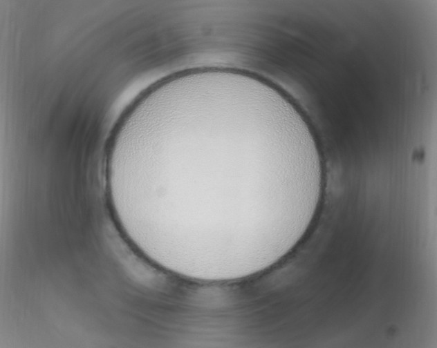 X0000115221078200911251526
