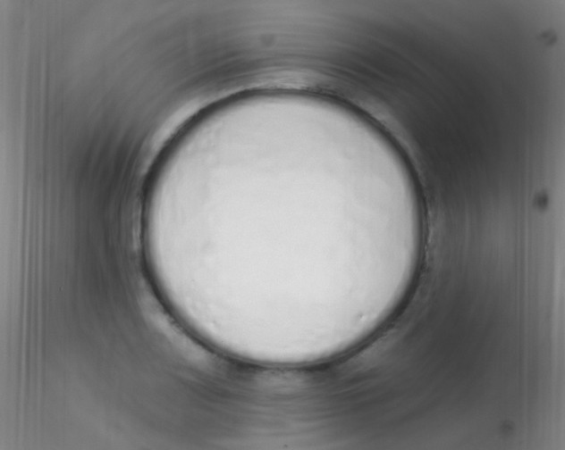X0000115221083200911251526